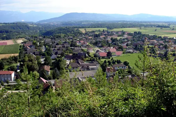 Monte Escalier Qualité Pose monte escalier Apprieu