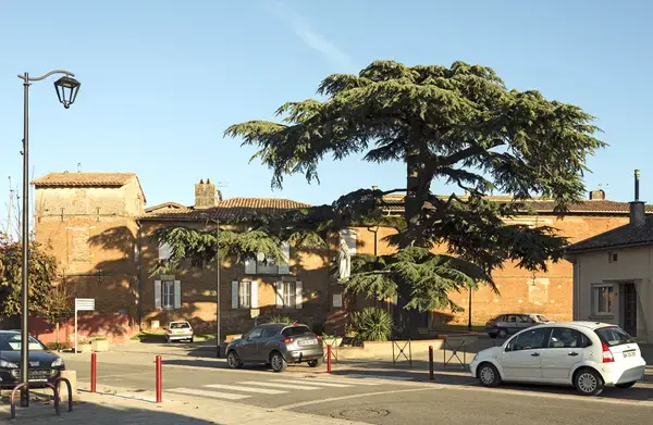 Monte Escalier Qualité Pose monte escalier Aussonne