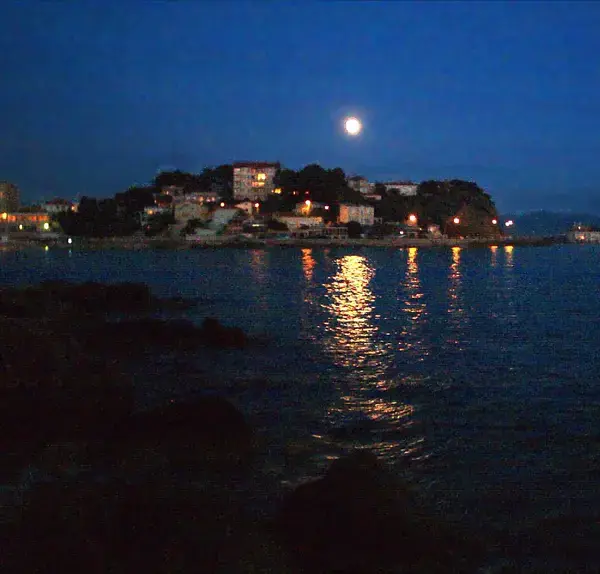 Monte Escalier Qualité Pose monte escalier Bandol