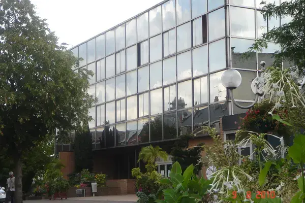 Monte Escalier Qualité Pose monte escalier Denain