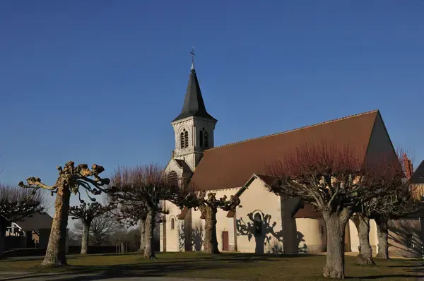 Monte Escalier Qualité Pose monte escalier Fougerolles