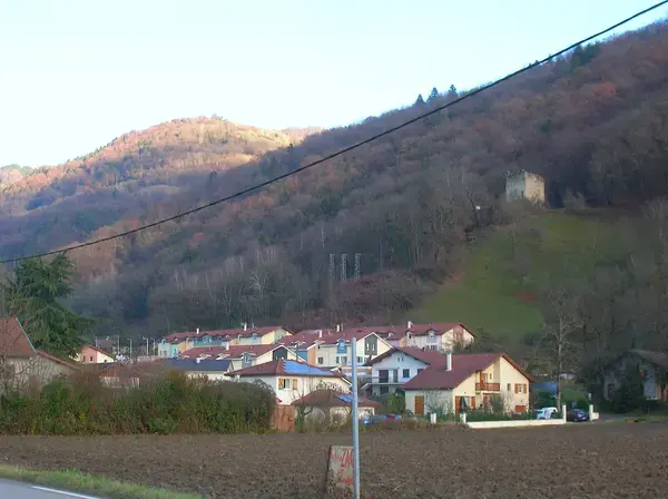 Monte Escalier Qualité Pose monte escalier Le Versoud