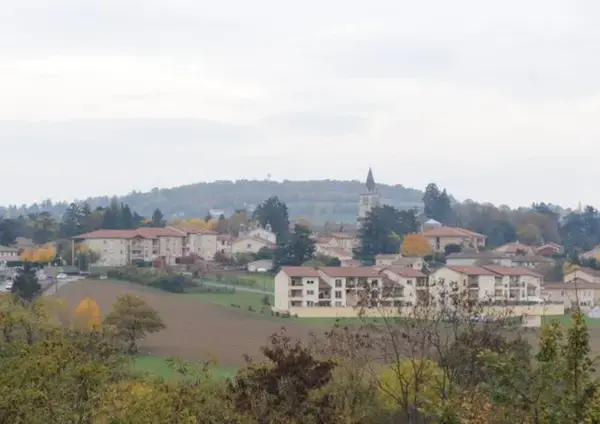 Monte Escalier Qualité Pose monte escalier Lentilly