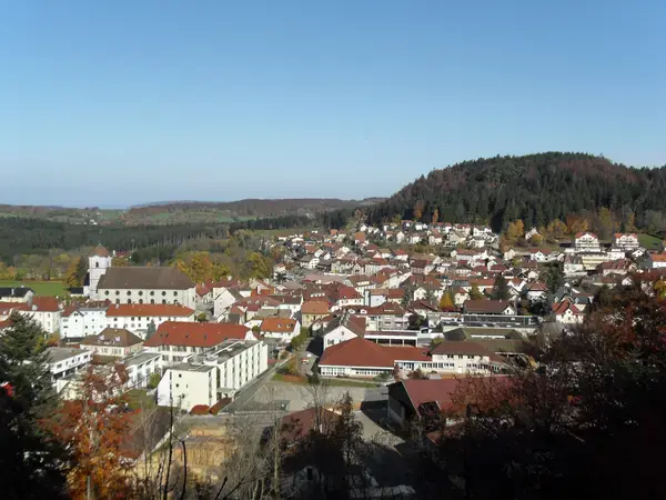 Monte Escalier Qualité Pose monte escalier Maîche