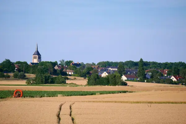 Monte Escalier Qualité Pose monte escalier Mardié