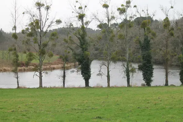 Monte Escalier Qualité Pose monte escalier Muzillac