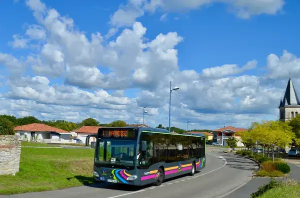 Monte Escalier Qualité Pose monte escalier Narrosse