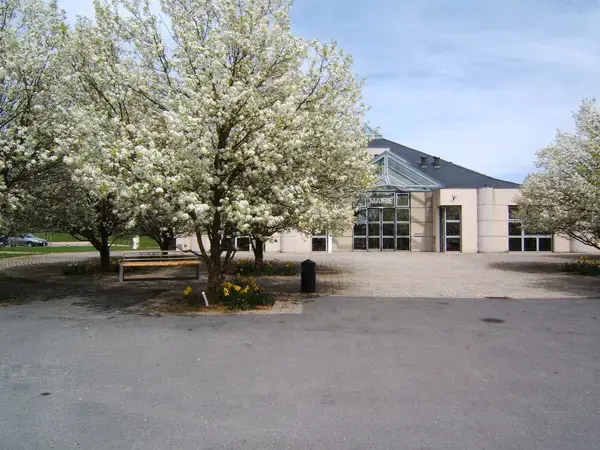 Monte Escalier Qualité Pose monte escalier Olemps