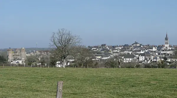 Monte Escalier Qualité Pose monte escalier Ombrée d'Anjou