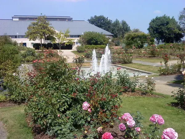 Monte Escalier Qualité Pose monte escalier Quévert