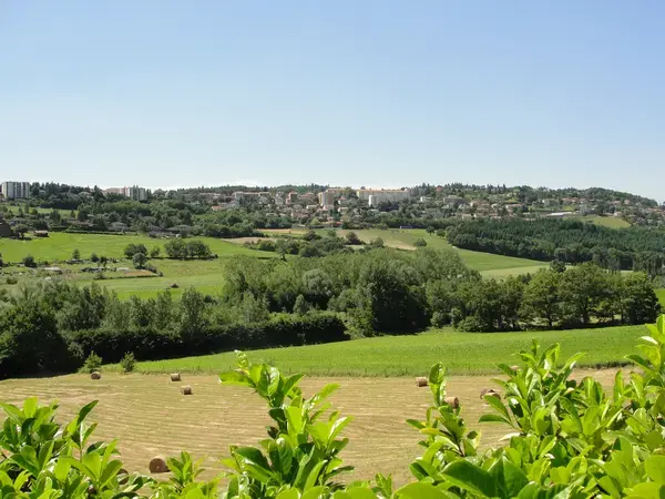 Monte Escalier Qualité Pose monte escalier Saint-Genest-Lerpt