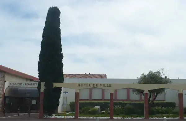 Monte Escalier Qualité Pose monte escalier Saleilles