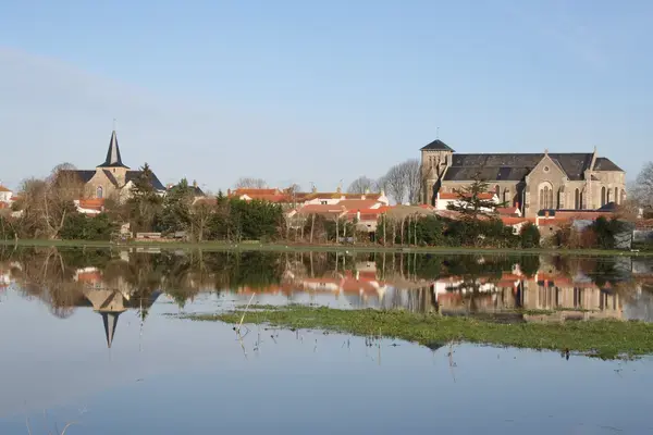 Monte Escalier Qualité Pose monte escalier Sallertaine