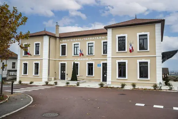 Monte Escalier Qualité Pose monte escalier Satolas-et-Bonce