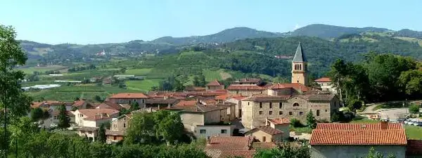 Monte Escalier Qualité Pose monte escalier Thurins