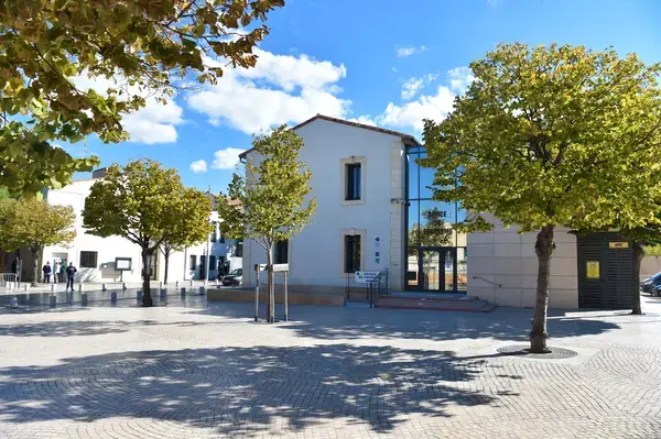 Monte Escalier Qualité Pose monte escalier Vic-la-Gardiole